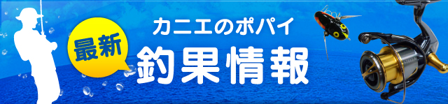 ご予約開始【スタジオコンポジット】パラドックス8104/806！4月11日